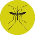 malaria