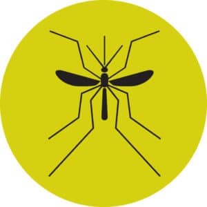 malaria