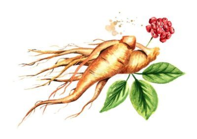 ginseng